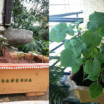 Every end is a new beginning...