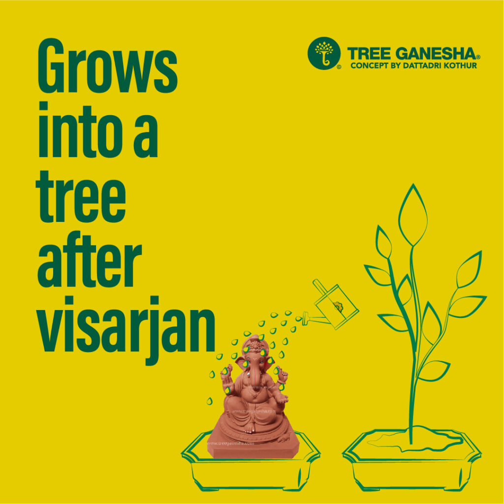 Grows into a tree after visarjan